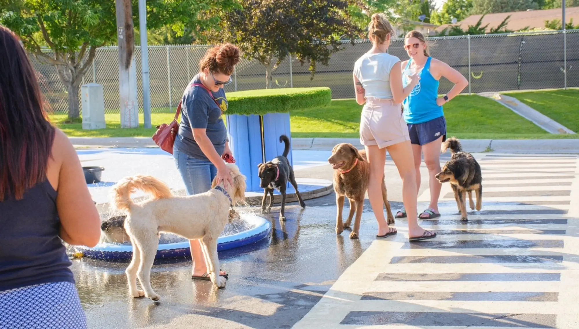 four women stand around a small play area with dogs, artificial grass covered standing tables and a small fountain