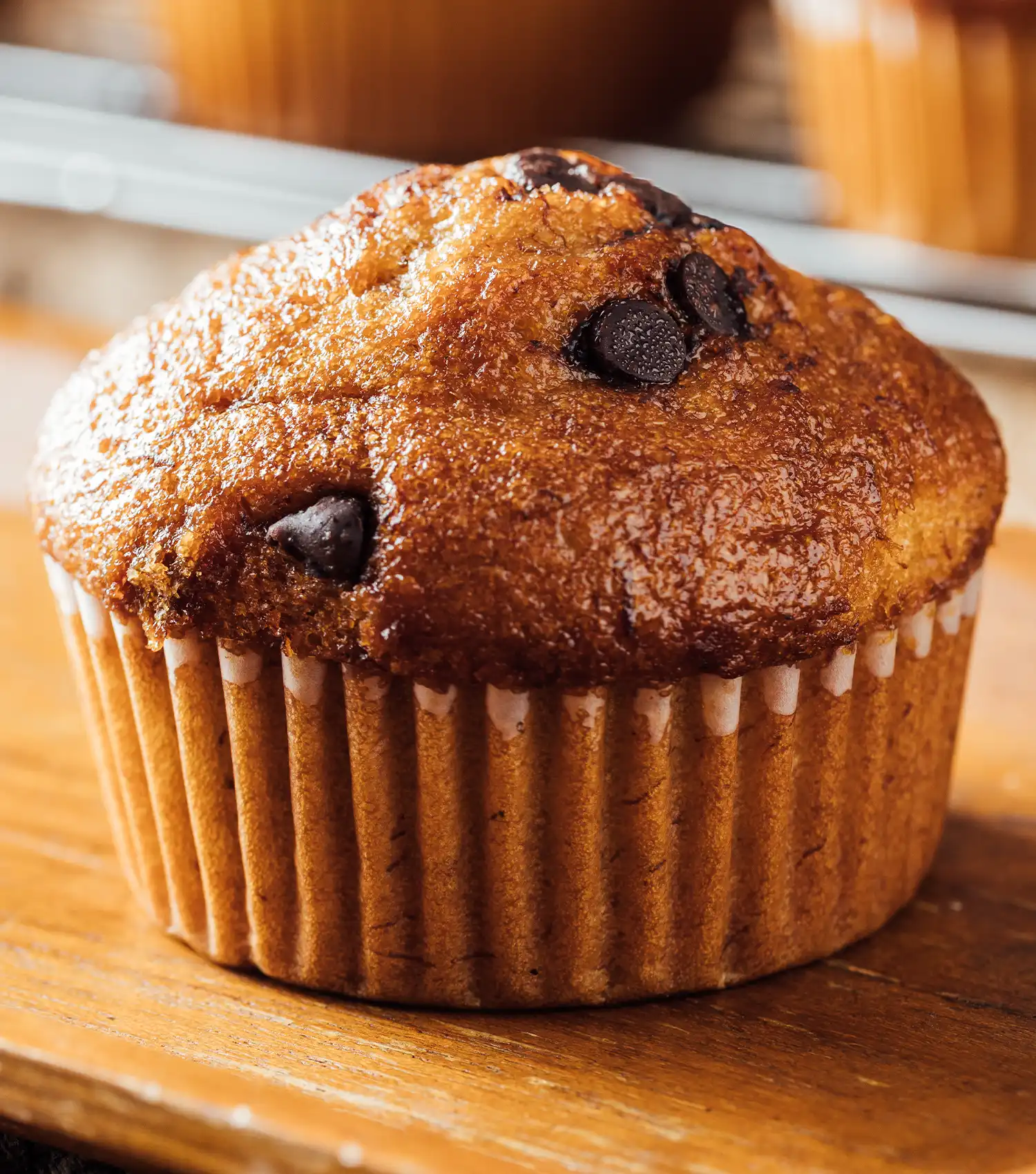 close up of a Cottage Cheese Oatmeal Blender Muffin with chocolate chips