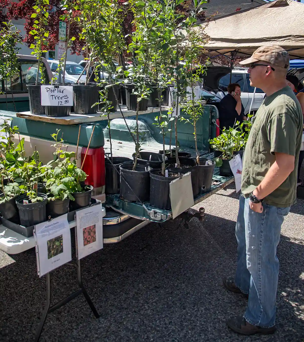 A man in a cap stands by a teal pickup truck at an outdoor market, looking at potted plants in the truck bed and on a table