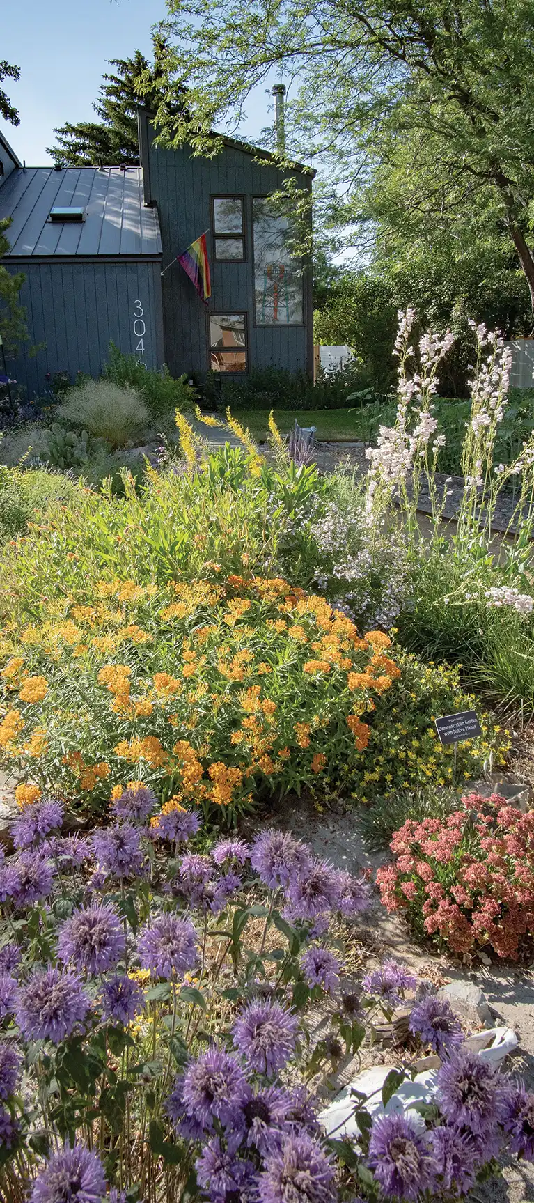 A lush native garden with purple bee balm and orange butterfly milkweed in the foreground. In the background, a grey modern house features a rainbow pride flag and vertical address.