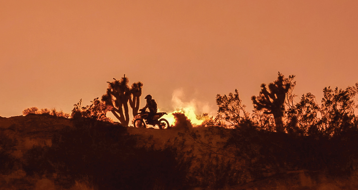 Silhouette of a motorcyclist riding along a ridge among Joshua trees at sunset.