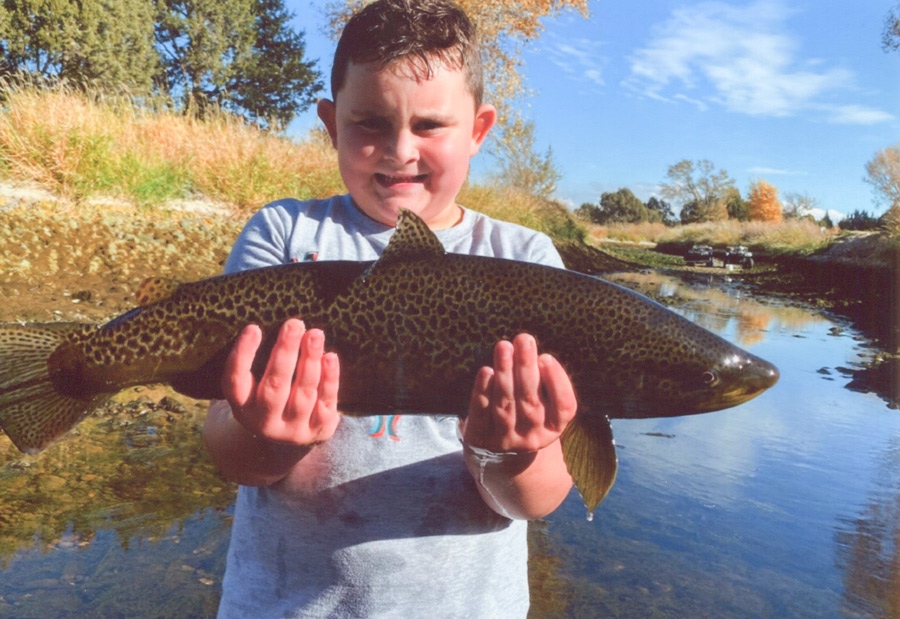 A young boy proudly holds a large, dark-spotted fish while standing in a shallow stream.
