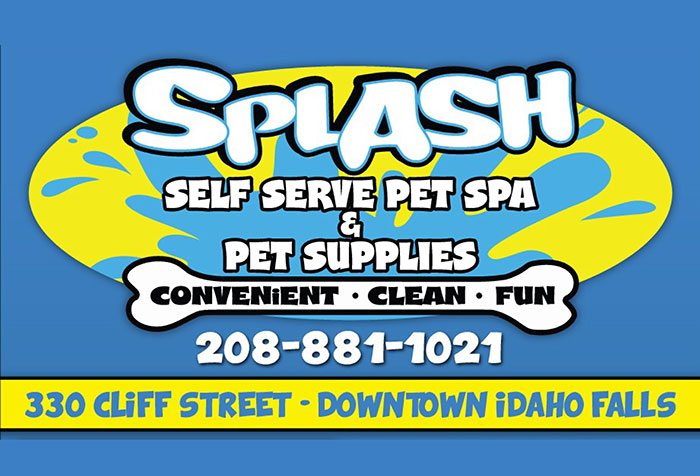 Splash Self Serve Pet Spa