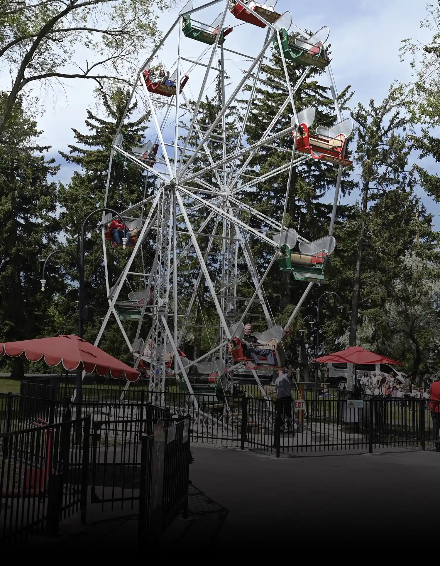 A tall white metal Ferris wheel with red and green passenger cars carrying riders, set against a background of tall green pine trees and a light blue sky.