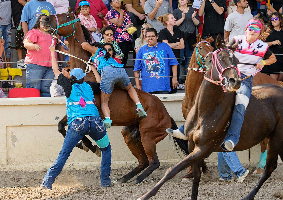 A rider mounts a rearing horse while handlers assist during an Indian Relay race event.