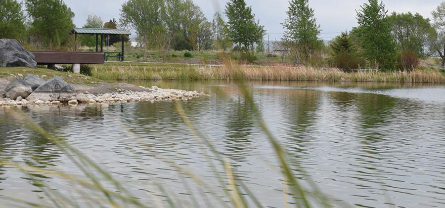 A quiet park pond with a covered picnic area in the background.