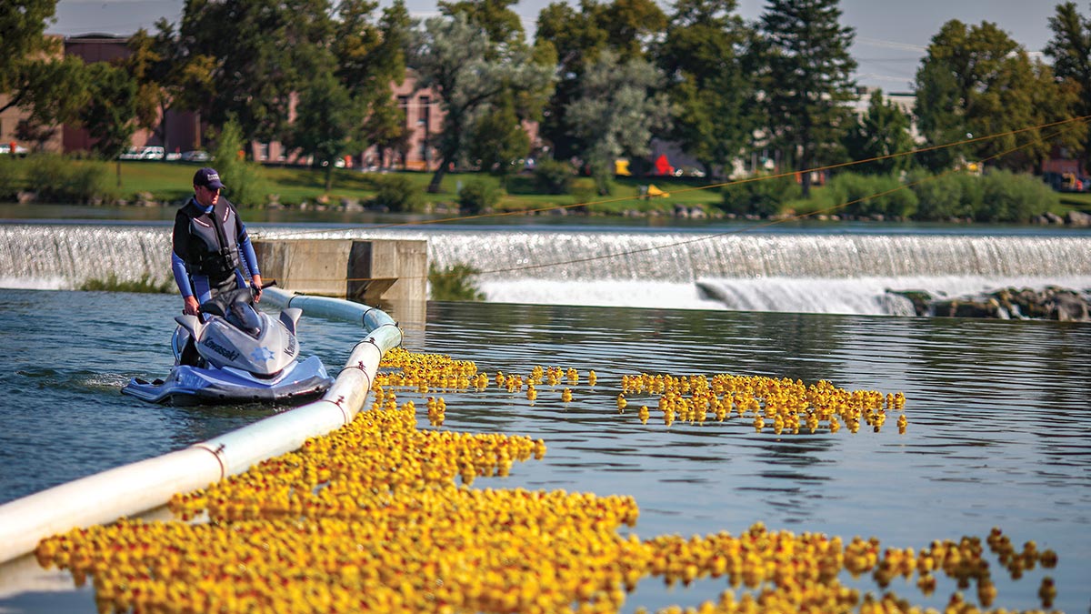 A person on a jet ski guides thousands of yellow rubber ducks floating along a white containment boom in a river, with a low dam in the background.