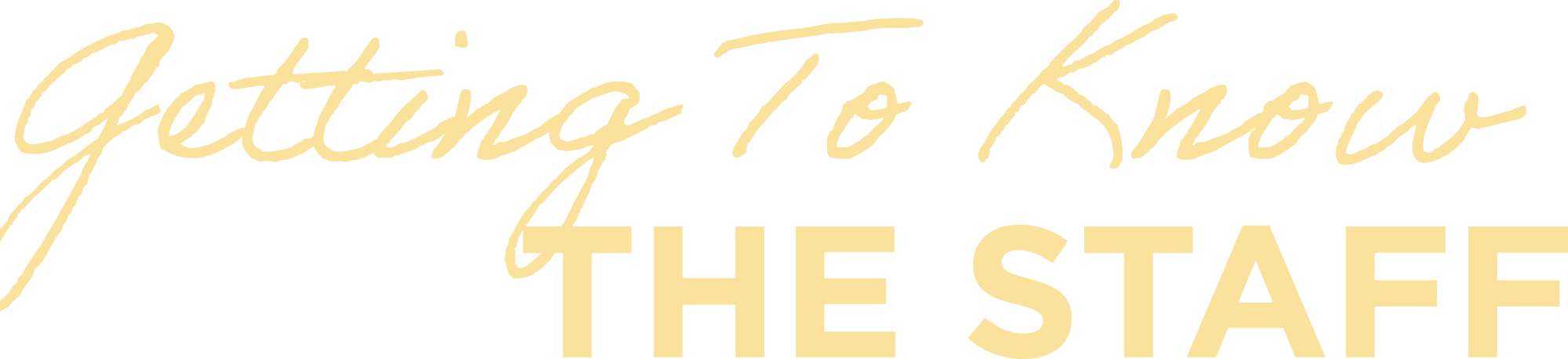 Getting to Know the Staff